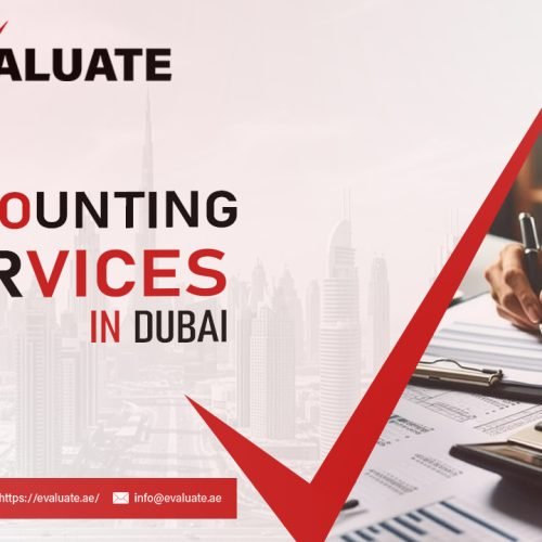 Grow Smart with Expert Accounting Services in Dubai