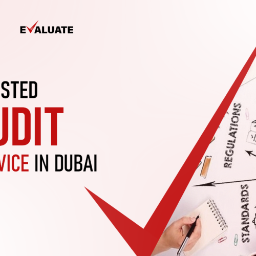Audit Services Dubai: Statutory, Internal, and External Audit by Chartered Accountants